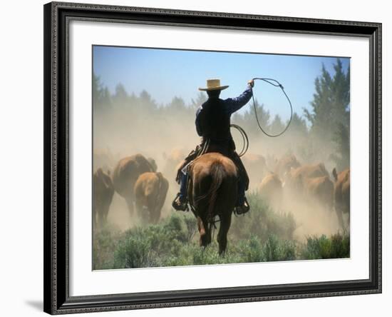 Cowboy Driving Cattle with Lasso through Central Oregon, USA-Janis Miglavs-Framed Photographic Print