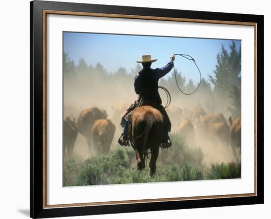 Cowboy Driving Cattle with Lasso through Central Oregon, USA-Janis Miglavs-Framed Photographic Print