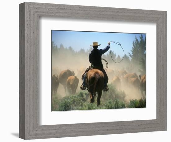 Cowboy Driving Cattle with Lasso through Central Oregon, USA-Janis Miglavs-Framed Photographic Print