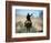 Cowboy Driving Cattle with Lasso through Central Oregon, USA-Janis Miglavs-Framed Photographic Print