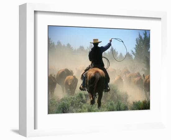 Cowboy Driving Cattle with Lasso through Central Oregon, USA-Janis Miglavs-Framed Photographic Print