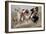 Cowboy Fun in Old Mexico-Frederic Sackrider Remington-Framed Giclee Print