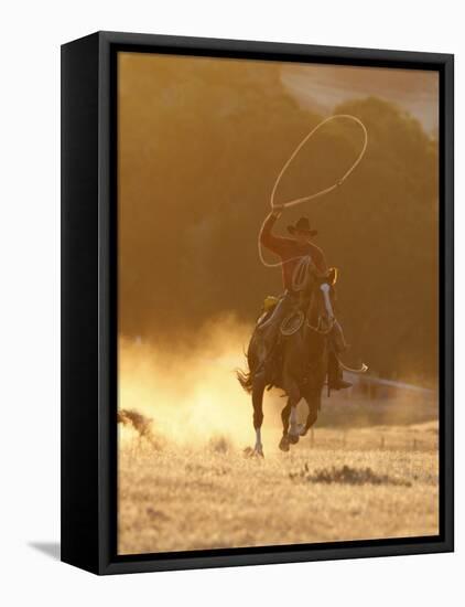 Cowboy Galloping While Swinging a Rope Lassoo at Sunset, Flitner Ranch, Shell, Wyoming, USA-Carol Walker-Framed Premier Image Canvas