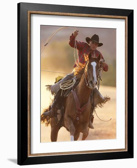 Cowboy Galloping While Swinging a Rope Lassoo at Sunset, Flitner Ranch, Shell, Wyoming, USA-Carol Walker-Framed Photographic Print