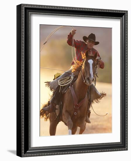 Cowboy Galloping While Swinging a Rope Lassoo at Sunset, Flitner Ranch, Shell, Wyoming, USA-Carol Walker-Framed Photographic Print