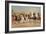 Cowboy Gunbattle-Frederic Sackrider Remington-Framed Giclee Print