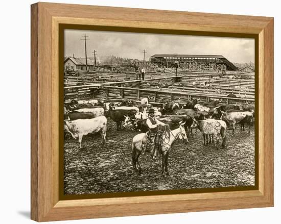 Cowboy Herding Cattle in the Railroad Stockyards at Kansas City Missouri 1890-null-Framed Premier Image Canvas