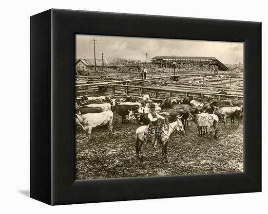 Cowboy Herding Cattle in the Railroad Stockyards at Kansas City Missouri 1890-null-Framed Premier Image Canvas