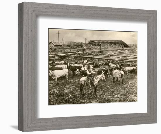 Cowboy Herding Cattle in the Railroad Stockyards at Kansas City Missouri 1890-null-Framed Giclee Print