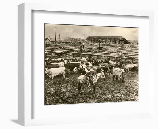 Cowboy Herding Cattle in the Railroad Stockyards at Kansas City Missouri 1890-null-Framed Giclee Print