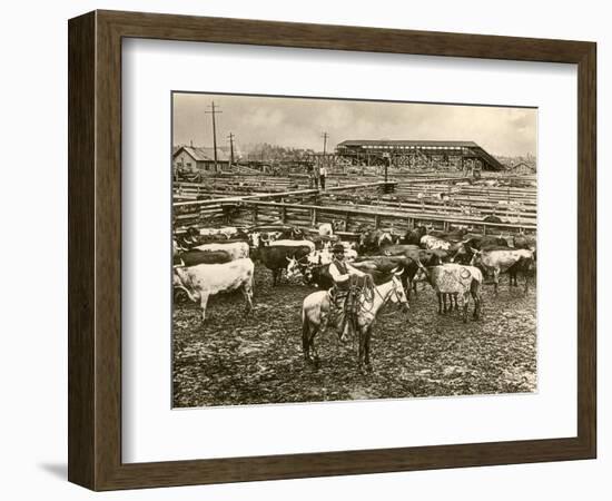 Cowboy Herding Cattle in the Railroad Stockyards at Kansas City Missouri 1890-null-Framed Premium Giclee Print