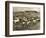 Cowboy Herding Cattle in the Railroad Stockyards at Kansas City Missouri 1890-null-Framed Premium Giclee Print