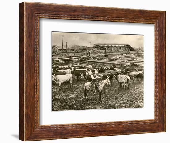 Cowboy Herding Cattle in the Railroad Stockyards at Kansas City Missouri 1890-null-Framed Premium Giclee Print