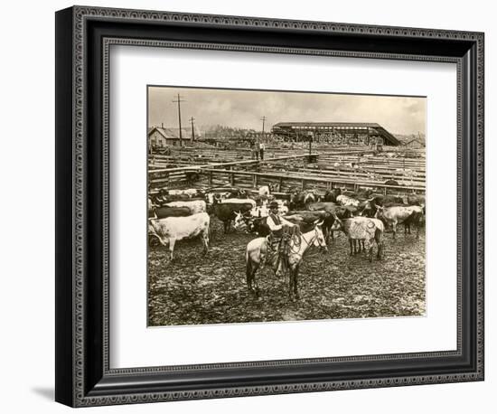 Cowboy Herding Cattle in the Railroad Stockyards at Kansas City Missouri 1890-null-Framed Premium Giclee Print