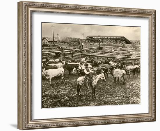 Cowboy Herding Cattle in the Railroad Stockyards at Kansas City Missouri 1890-null-Framed Giclee Print