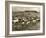 Cowboy Herding Cattle in the Railroad Stockyards at Kansas City Missouri 1890-null-Framed Giclee Print