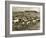 Cowboy Herding Cattle in the Railroad Stockyards at Kansas City Missouri 1890-null-Framed Giclee Print