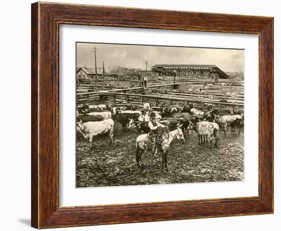 Cowboy Herding Cattle in the Railroad Stockyards at Kansas City Missouri 1890-null-Framed Giclee Print