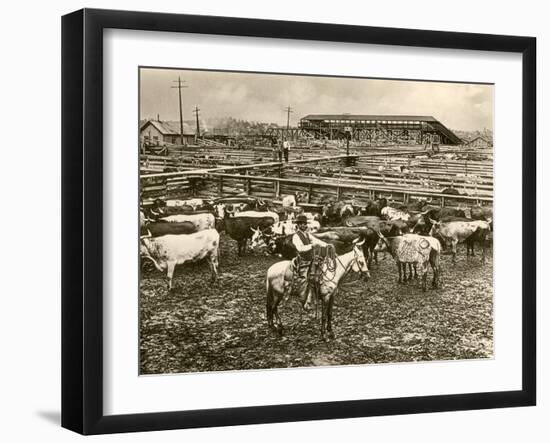 Cowboy Herding Cattle in the Railroad Stockyards at Kansas City Missouri 1890-null-Framed Giclee Print