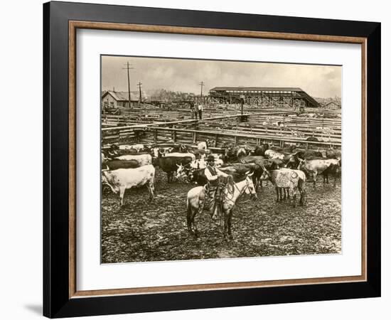Cowboy Herding Cattle in the Railroad Stockyards at Kansas City Missouri 1890-null-Framed Giclee Print