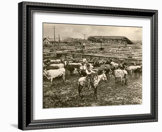 Cowboy Herding Cattle in the Railroad Stockyards at Kansas City Missouri 1890-null-Framed Giclee Print