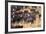 Cowboy Herding Cattle in the Sierras of California Near Bridgeport-John Alves-Framed Photographic Print