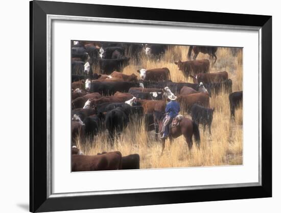 Cowboy Herding Cattle in the Sierras of California Near Bridgeport-John Alves-Framed Photographic Print