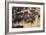 Cowboy Herding Cattle in the Sierras of California Near Bridgeport-John Alves-Framed Photographic Print