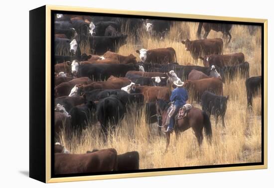 Cowboy Herding Cattle in the Sierras of California Near Bridgeport-John Alves-Framed Premier Image Canvas