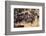 Cowboy Herding Cattle in the Sierras of California Near Bridgeport-John Alves-Framed Photographic Print