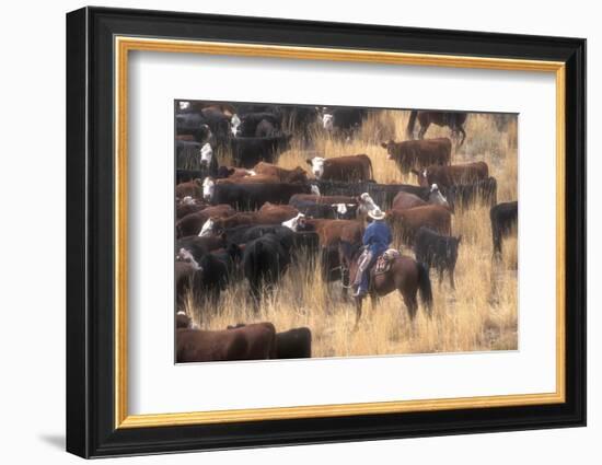 Cowboy Herding Cattle in the Sierras of California Near Bridgeport-John Alves-Framed Photographic Print