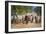 Cowboy Herding Cattle, Pantanal Wetlands, Brazil-null-Framed Photographic Print