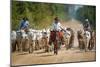 Cowboy Herding Cattle, Pantanal Wetlands, Brazil-null-Mounted Photographic Print
