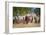 Cowboy Herding Cattle, Pantanal Wetlands, Brazil-null-Framed Photographic Print