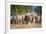 Cowboy Herding Cattle, Pantanal Wetlands, Brazil-null-Framed Photographic Print