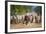 Cowboy Herding Cattle, Pantanal Wetlands, Brazil-null-Framed Photographic Print