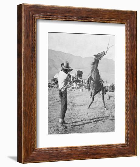 Cowboy Holds Rope around Struggling Bronco's Neck Photograph - Texas-Lantern Press-Framed Art Print