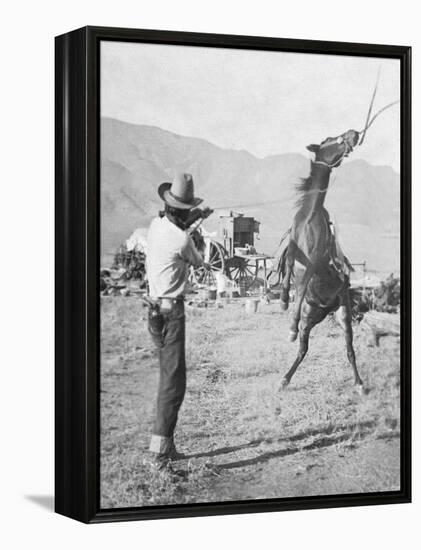 Cowboy Holds Rope around Struggling Bronco's Neck Photograph - Texas-Lantern Press-Framed Stretched Canvas