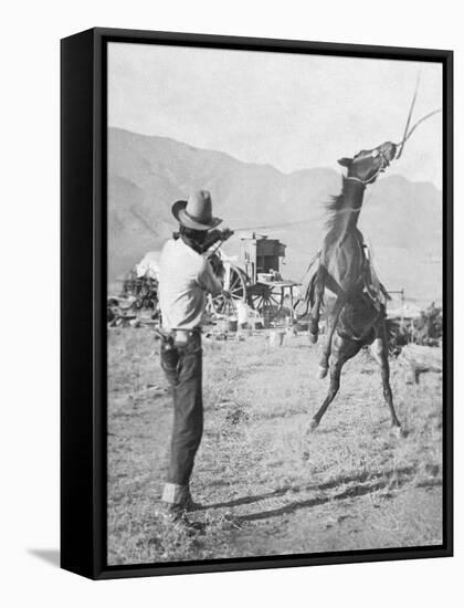 Cowboy Holds Rope around Struggling Bronco's Neck Photograph - Texas-Lantern Press-Framed Stretched Canvas