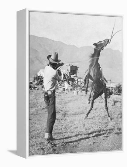 Cowboy Holds Rope around Struggling Bronco's Neck Photograph - Texas-Lantern Press-Framed Stretched Canvas