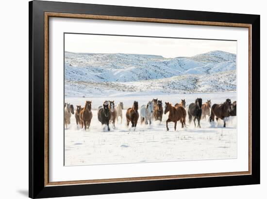 Cowboy Horse Drive, Hideout Ranch, Shell, Wyoming-Darrell Gulin-Framed Art Print