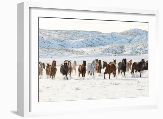 Cowboy Horse Drive, Hideout Ranch, Shell, Wyoming-Darrell Gulin-Framed Art Print