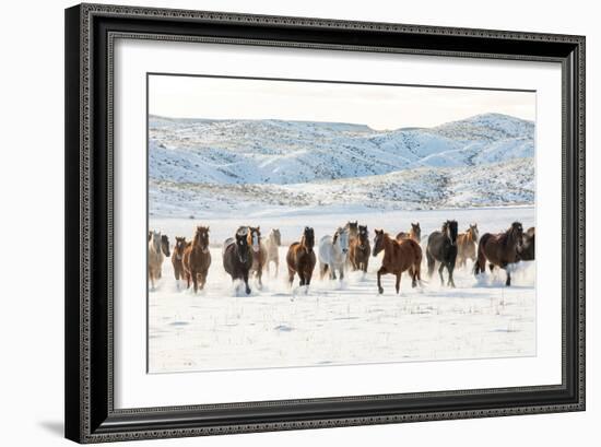 Cowboy Horse Drive, Hideout Ranch, Shell, Wyoming-Darrell Gulin-Framed Art Print