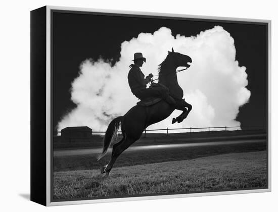 Cowboy & Horse-Monte Nagler-Framed Premier Image Canvas