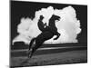 Cowboy & Horse-Monte Nagler-Mounted Photographic Print