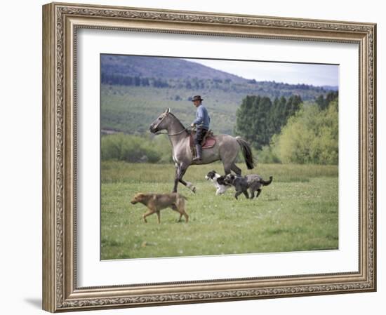 Cowboy in Irrigated Pasture, Chubut Province, Cholila Valley, Argentina-Lin Alder-Framed Photographic Print