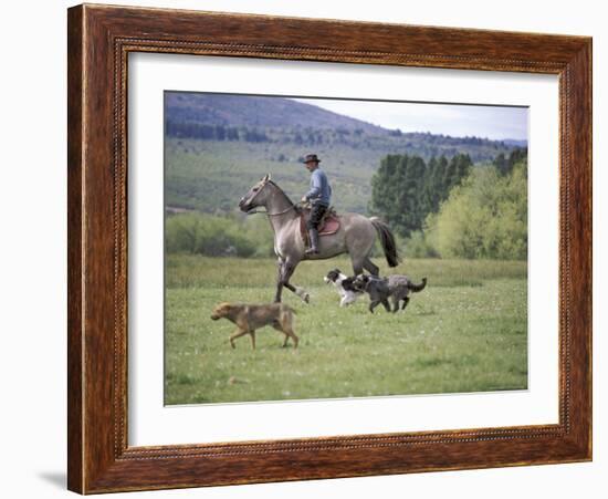 Cowboy in Irrigated Pasture, Chubut Province, Cholila Valley, Argentina-Lin Alder-Framed Photographic Print