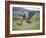 Cowboy in Irrigated Pasture, Chubut Province, Cholila Valley, Argentina-Lin Alder-Framed Photographic Print