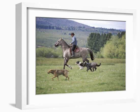 Cowboy in Irrigated Pasture, Chubut Province, Cholila Valley, Argentina-Lin Alder-Framed Photographic Print