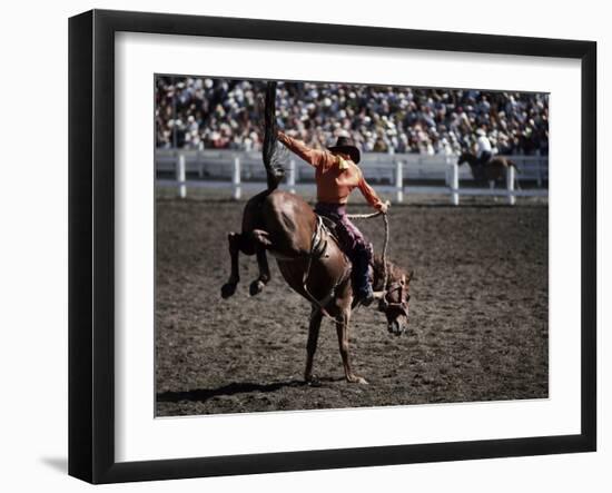 Cowboy in Rodeo-null-Framed Photographic Print